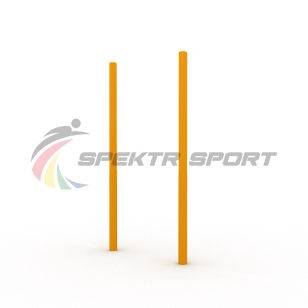 Купить Столбы вертикальные для выполнения упражнений Воркаут SP WRK-18_76mm в Алатыре 